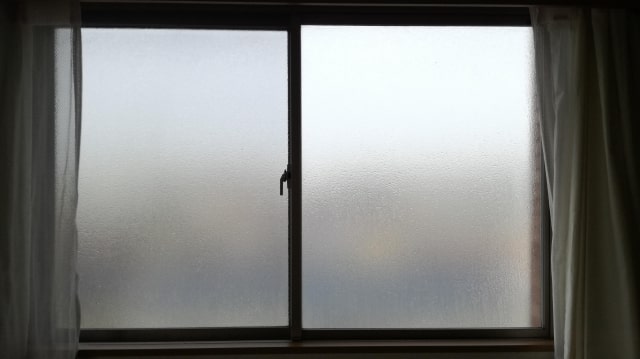夏に夜窓を開けるのは湿気とカビで逆効果 虫にもご注意を